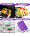 Bento Lunch Box - Purple